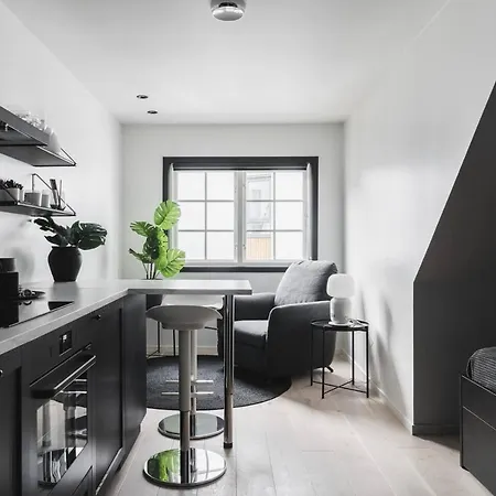 Modern Studio Perfect For Business Travelers. Bg1 Apartment